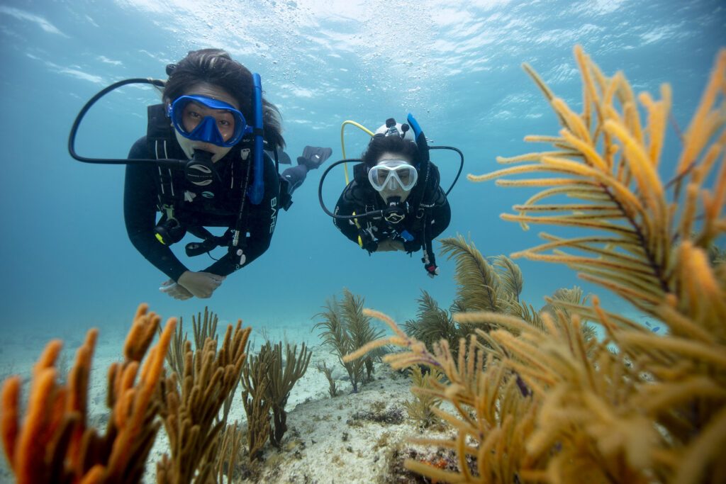 Two female PADI scuba divers exploring the reef in the ocean